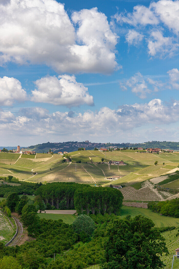 The hills and vineyards of the Langhe, in spring, near Neive, Cuneo, Piedmont, Italy.