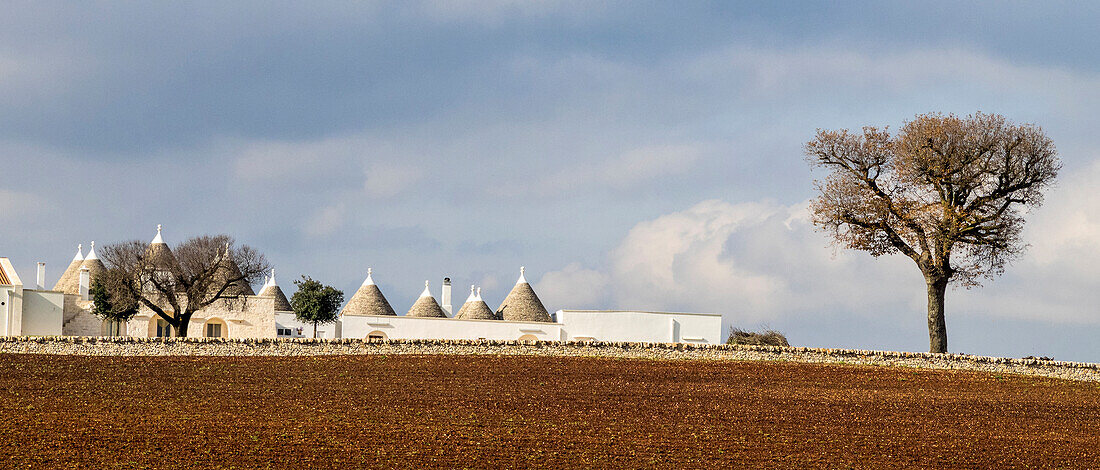 Several typical Trulli homes outside of the town of Alberobello.