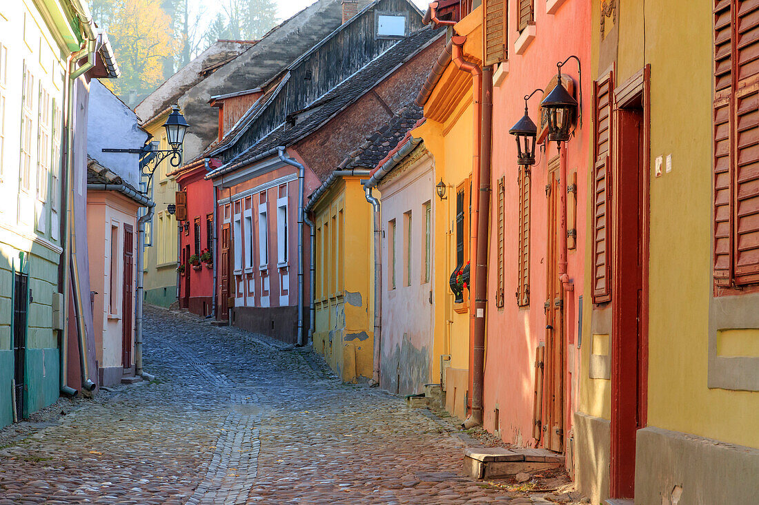 Siebenbürgen, Rumänien, Kreis Mures, Sighisoara, Wohnstraße mit Kopfsteinpflaster und bunten Häusern im Dorf. UNESCO-Weltkulturerbe.