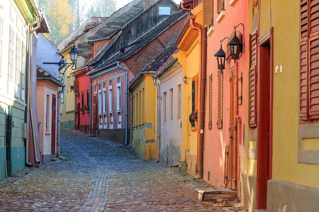 Transylvania, Romania, Mures County, Sighisoara, cobblestone residential street of colorful houses in village. UNESCO World Heritage Site.