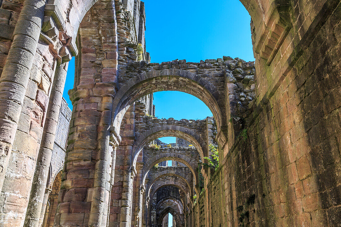 England, North Yorkshire, Ripon. Fountains Abbey, Studley Royal. UNESCO World Heritage Site. National Trust, Cistercian Monastery. Ruins of Church Abbey arches.