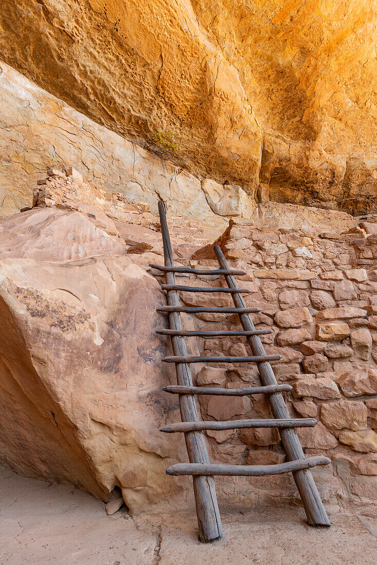 USA, Colorado. Mesa Verde National Park, Reconstructed ladder against wall masonry structure in sandstone alcove, Step House Ruin on Wetherill Mesa.