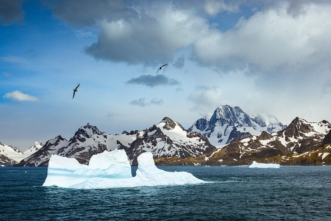 South Georgia Island. Mountain landscape and glacial ice near Drygalski Fjord.