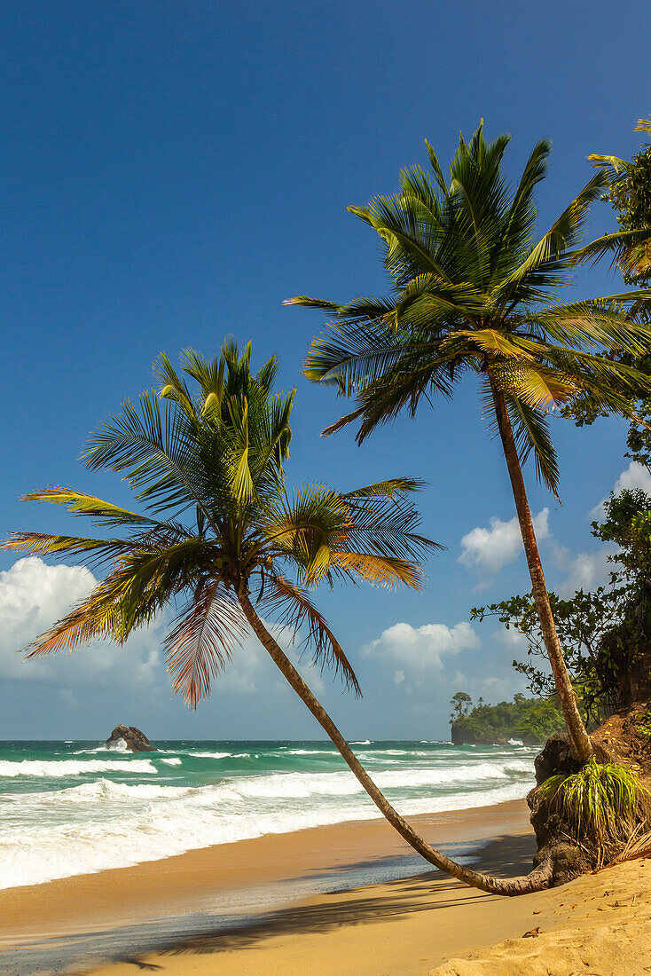Karibik, Trinidad, Blanchisseuse Bay. Strand- und Ozeanlandschaft
