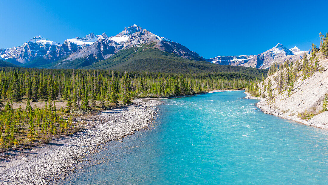 Canada, Alberta. Glacial Silt turns the Athabasca River blue on Icefields Parkway.