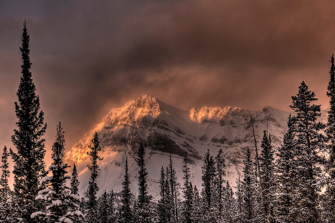 Kanadische Rocky Mountains, Alberta, Kanada