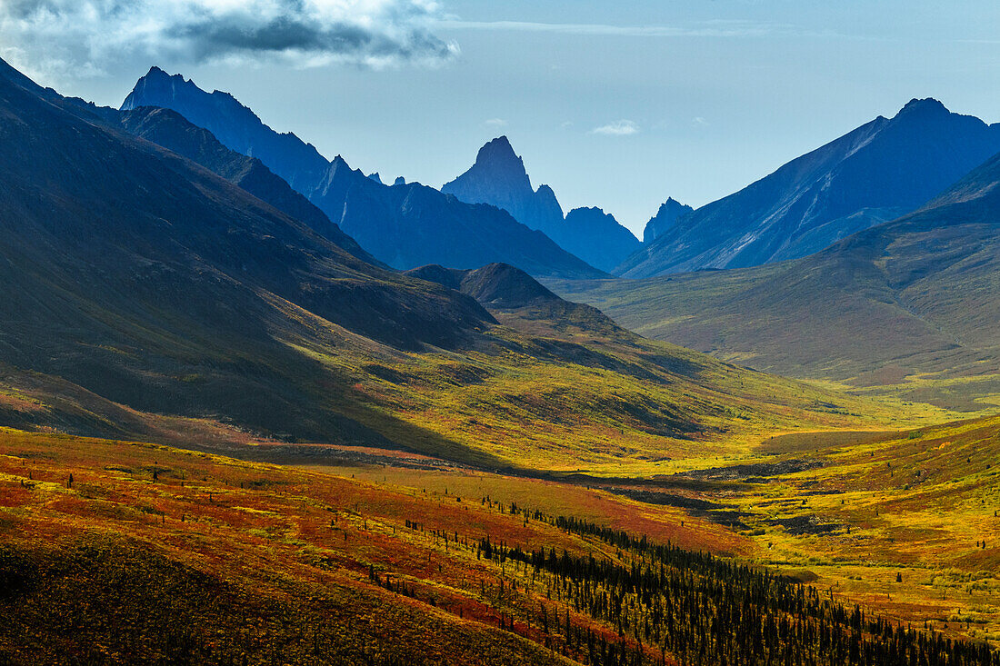 Kanada, Yukon, Tombstone Territorial Park, Herbstfarben und Blick auf das Bergtal.