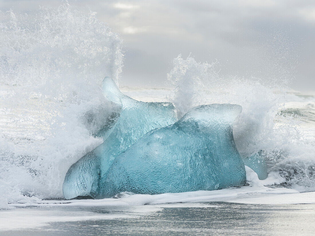 Icebergs on black volcanic beach, Iceland.