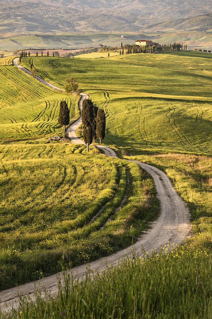 Europa, Italien, Toskana, Val d'Orcia