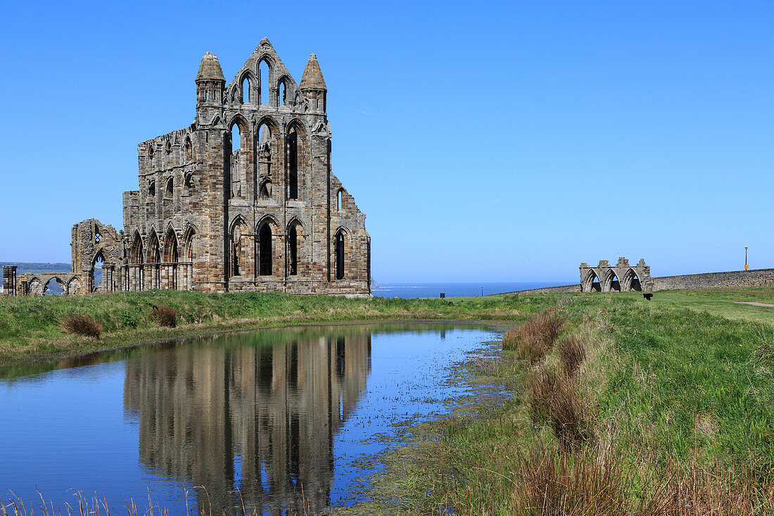 England, North Yorkshire, Whitby. Nordsee, Ostklippe. English Heritage Site, Ruinen der Benediktinerabtei, Whitby Abbey, Kloster. Inspiration für den frühen englischen Dichter Caedmon und für Bram Stokers Schauermärchen Dracula.