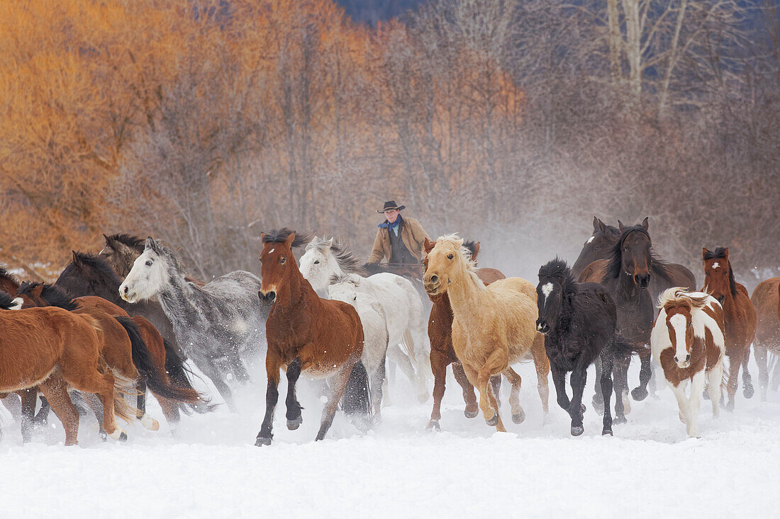 Cowboys während der Winterzusammenfassung, Kalispell, Montana