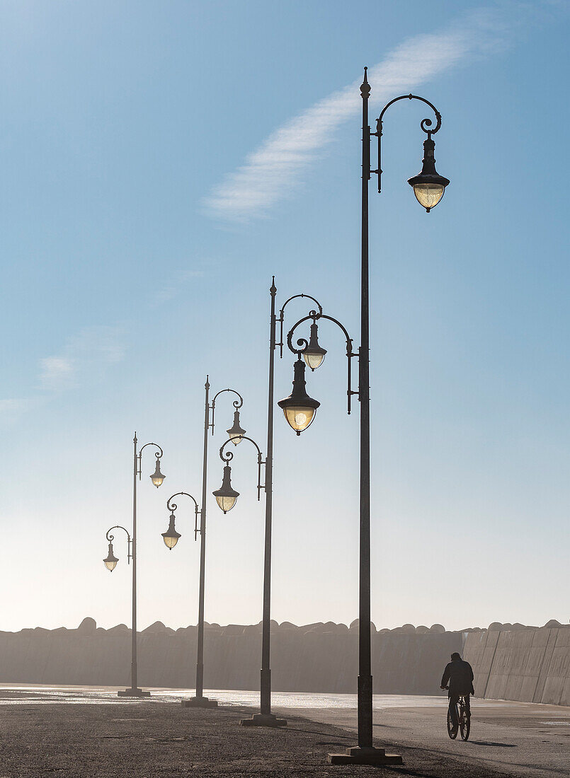 Africa, Morocco, Asilah. Man rides bike past lampposts
