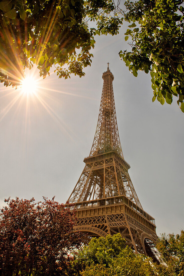 Eiffelturm umrahmt von Bäumen und Sonnendurchbruch in Paris, Frankreich.