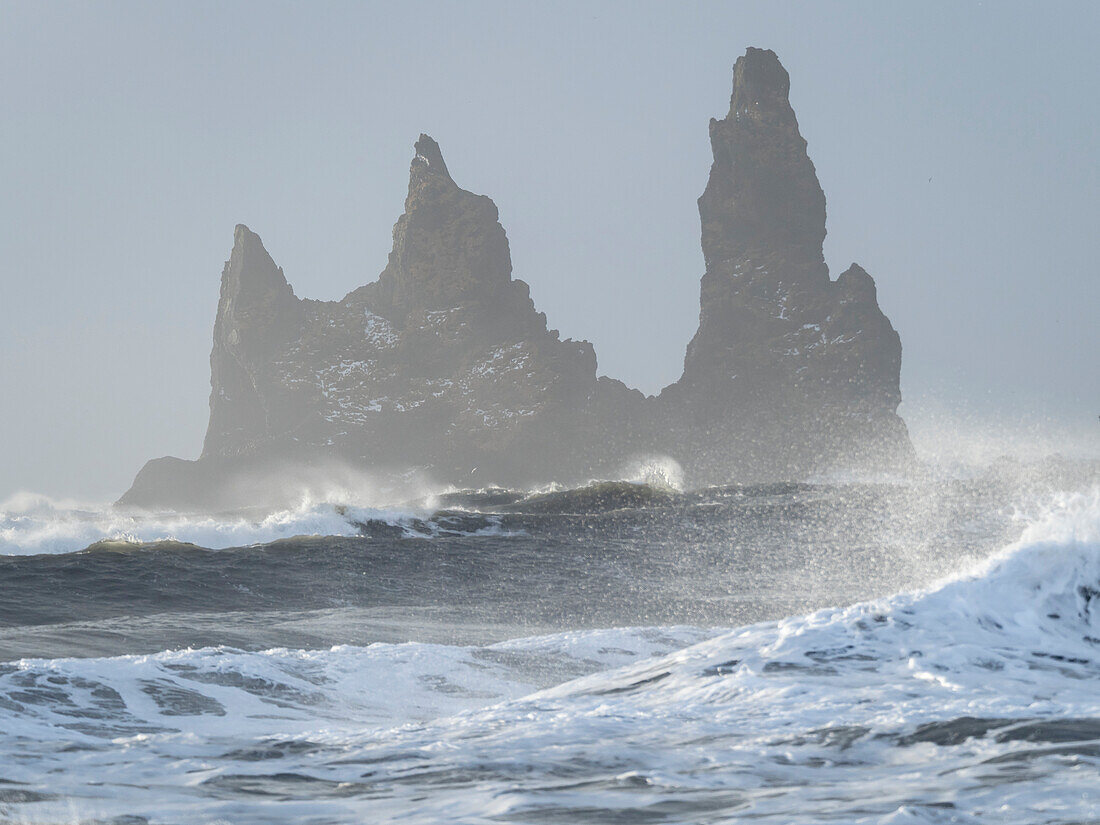 Coast near Vik y Myrdal during winter. The sea stacks Reynisdrangar, Iceland.