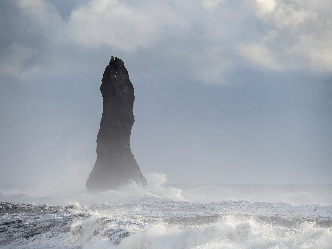 Küste bei Vik y Myrdal im Winter. Die Meeresstapel Reynisdrangar, Island.