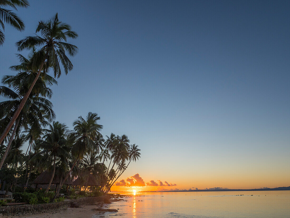 Fidschi, Vanua Levu. Strandsonnenuntergang mit Palmen.
