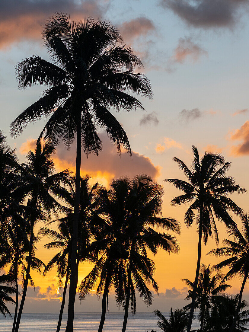 Fidschi, Insel Taveuni. Strandsonnenuntergang mit Palmen.