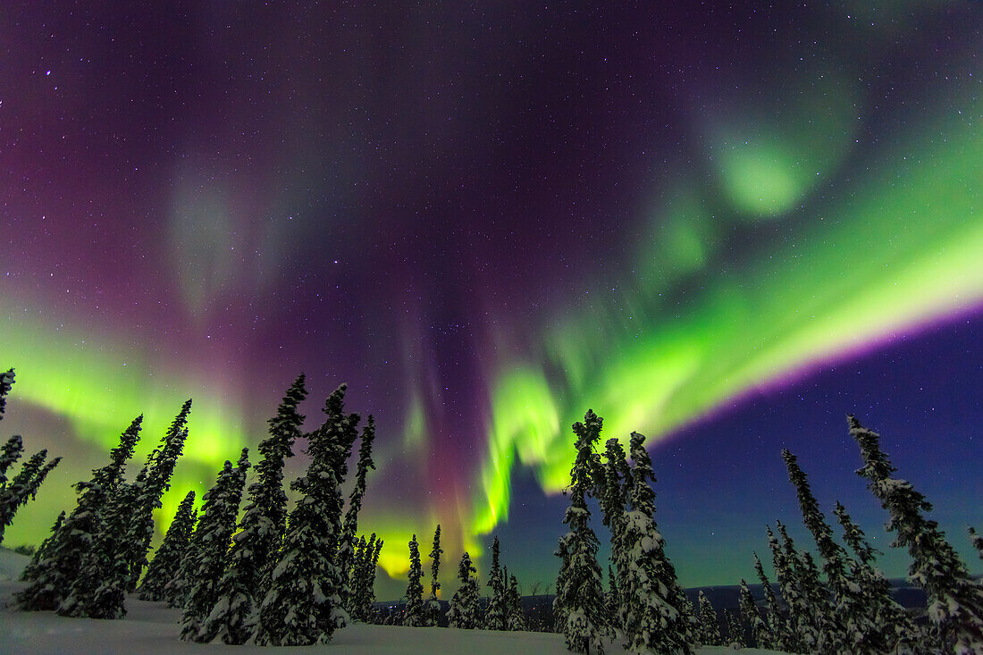 Aurora borealis, northern lights, near Fairbanks, Alaska