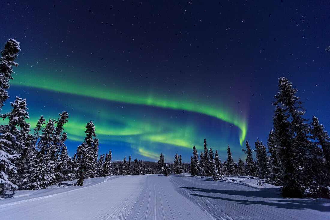 Aurora Borealis, Nordlichter in der Nähe von Fairbanks, Alaska