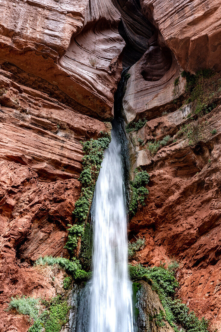 USA, Arizona. Deer Creek Falls, Grand Canyon National Park.