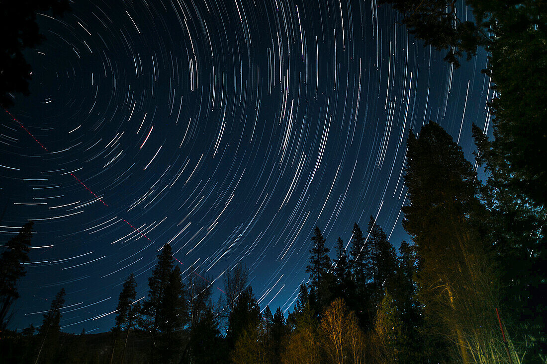 Time lapse photograph showing star trails above the forest near Lake Tahoe, California