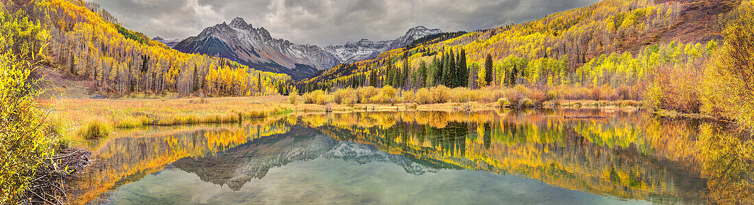 Mt. Snaffles and a sea of gold Aspen trees reflects in a large pond in autumn in the Colorado Rocky Mountains