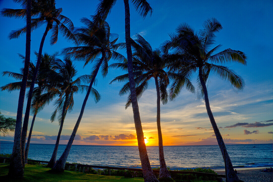 Sunset and silhouetted palm trees, Kihei, Maui, Hawaii.