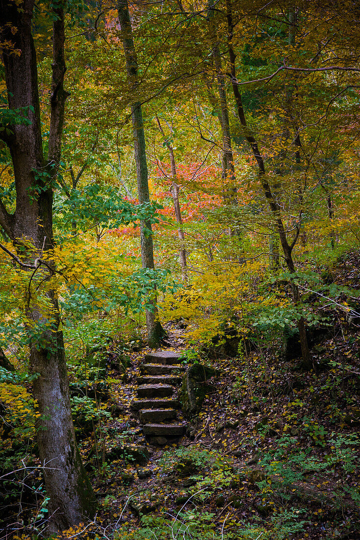 Trail Steps im Clifty Creek Park, Südindiana