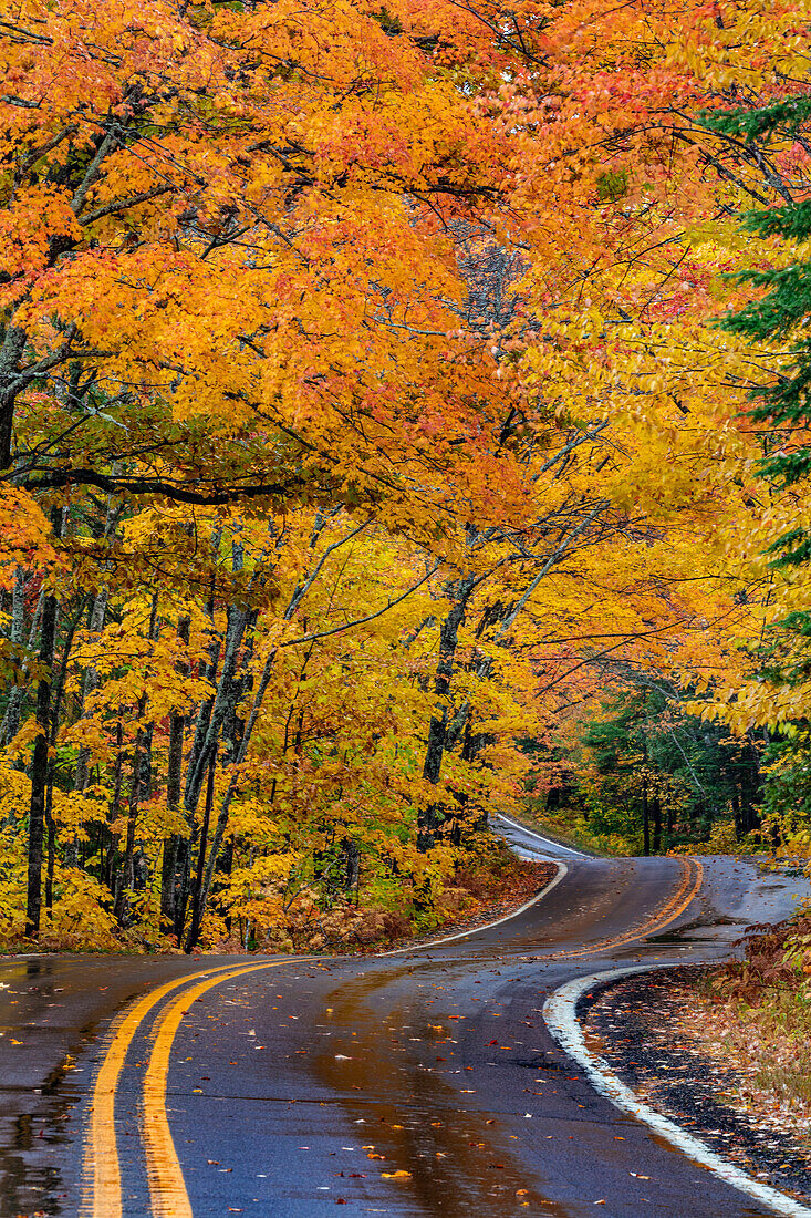 Highway 41 überdachte Fahrbahn im Herbst in der Nähe von Copper Harbor auf der oberen Halbinsel von Michigan, USA