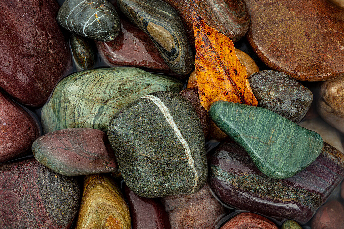 Colorful river rocks along the Middle Fork of the Flathead River in Glacier National Park, Montana, USA