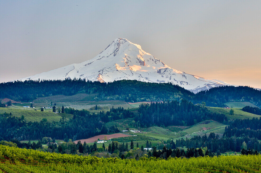 USA, Oregon, Columbia River Gorge, Mt. Hood Landschaft