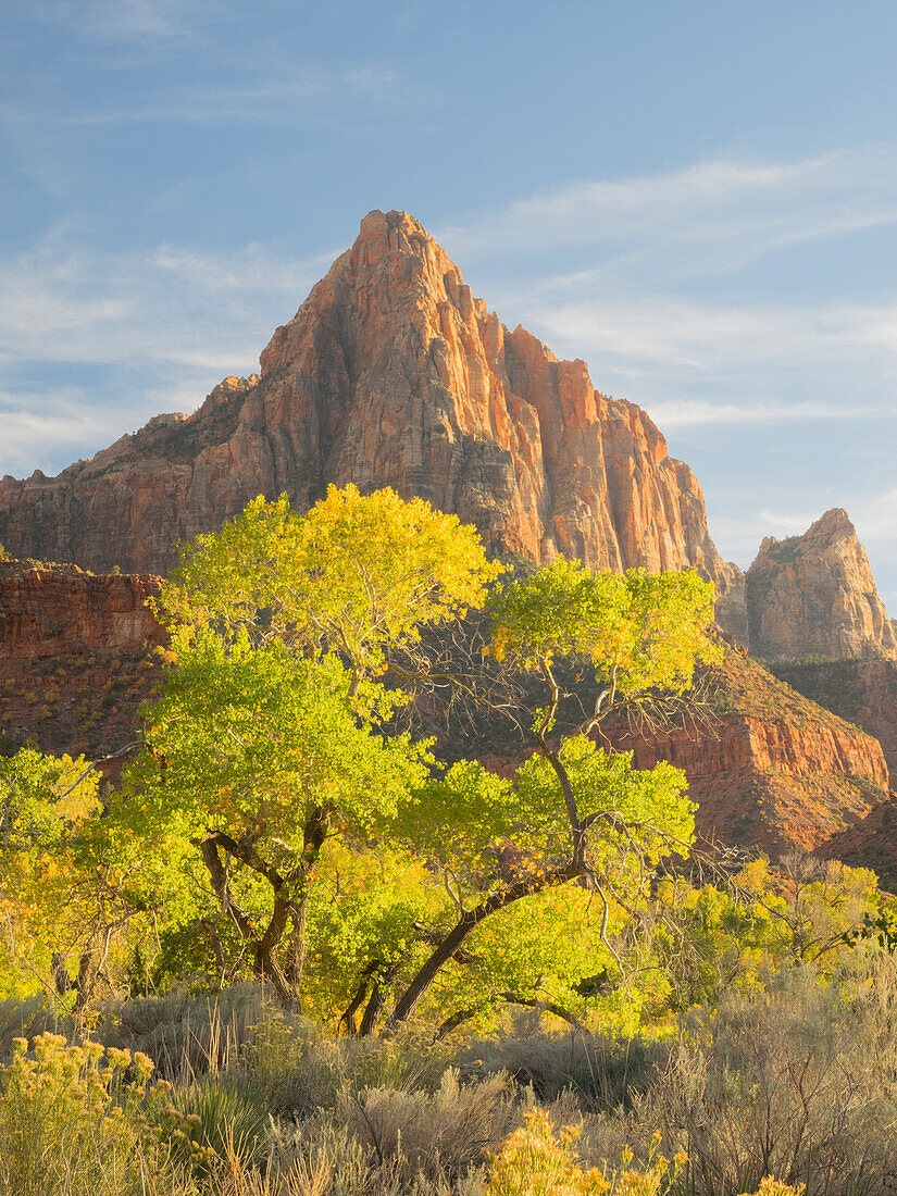 USA, Utah. Zion National Park, The Watchman