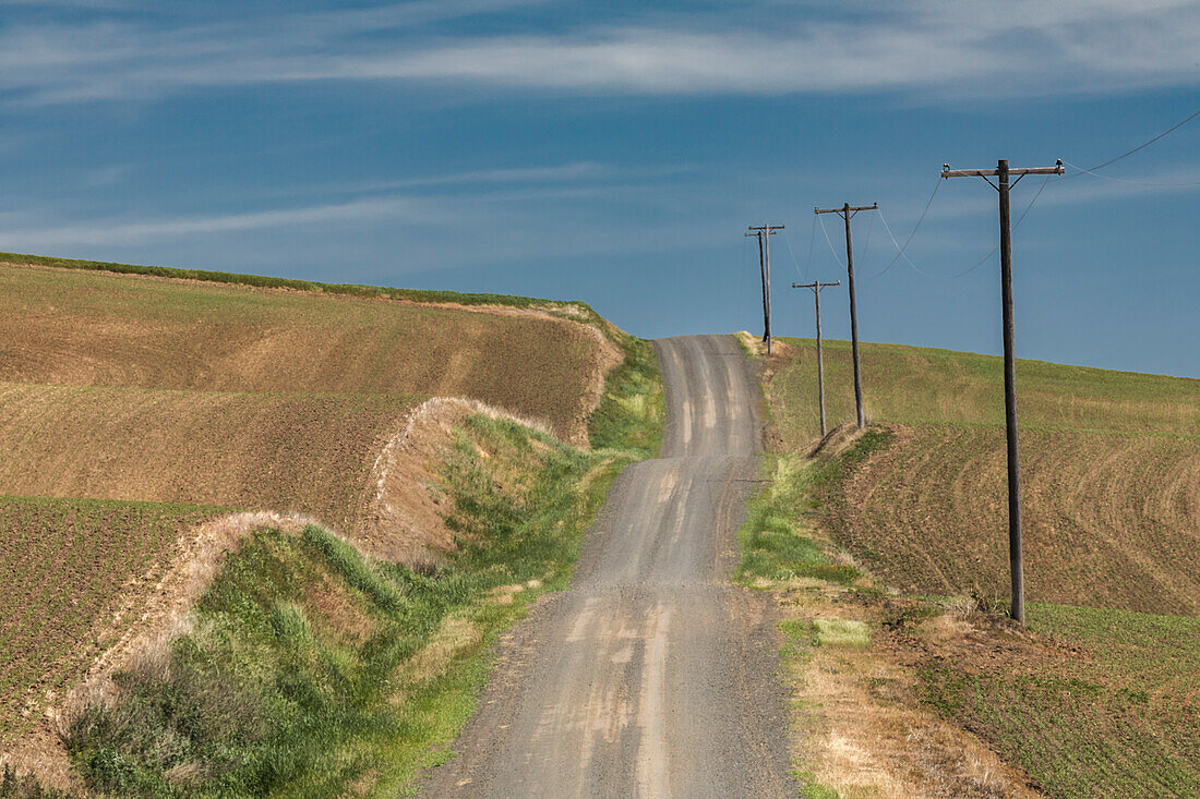Winding rural road across rolling hills of the Palouse, eastern Washington.