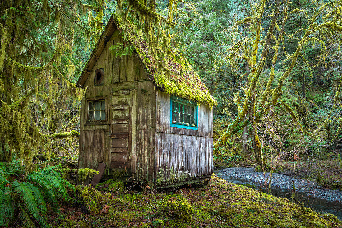 USA, Staat Washington, Olympic-Nationalpark. Tolkien-ähnliche verlassene Hütte.