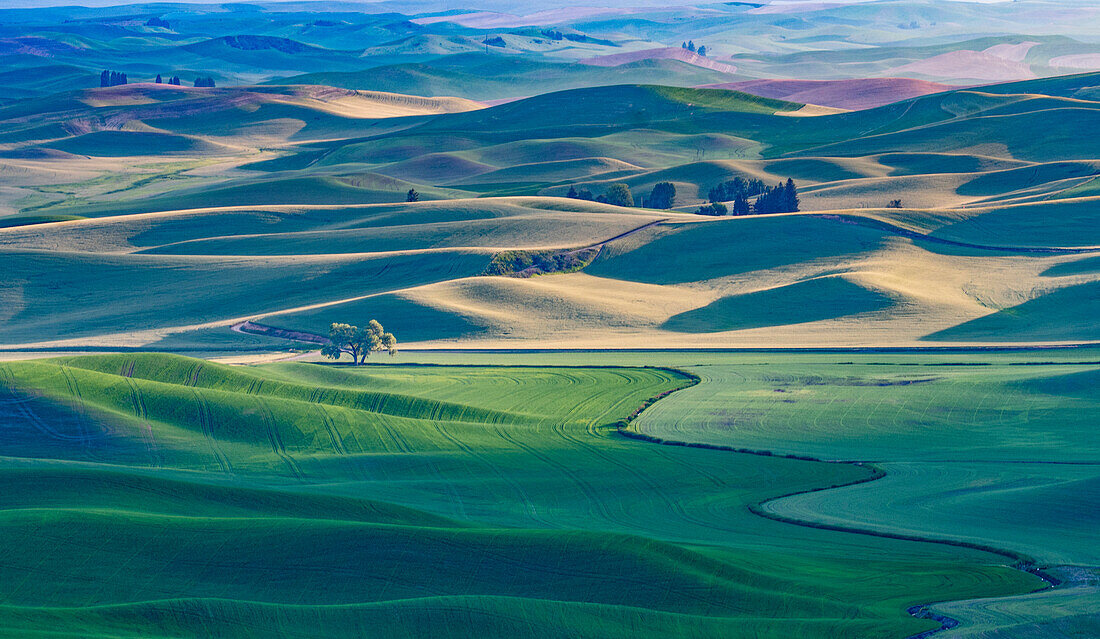 USA, Washington State. Palouse sunrise.