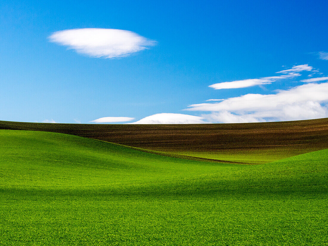 USA, Washington State, Palouse, Spring … – License image – 71419020 ...