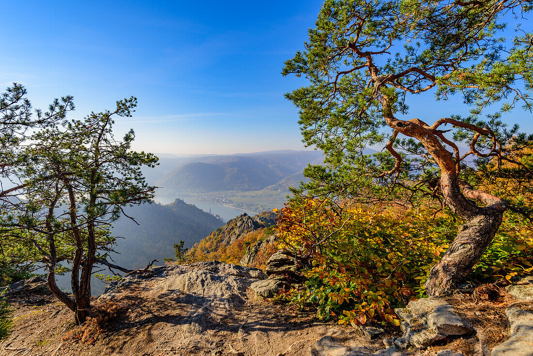 Landscape near Dürnstein in the Wachau, Lower Austria, Austria