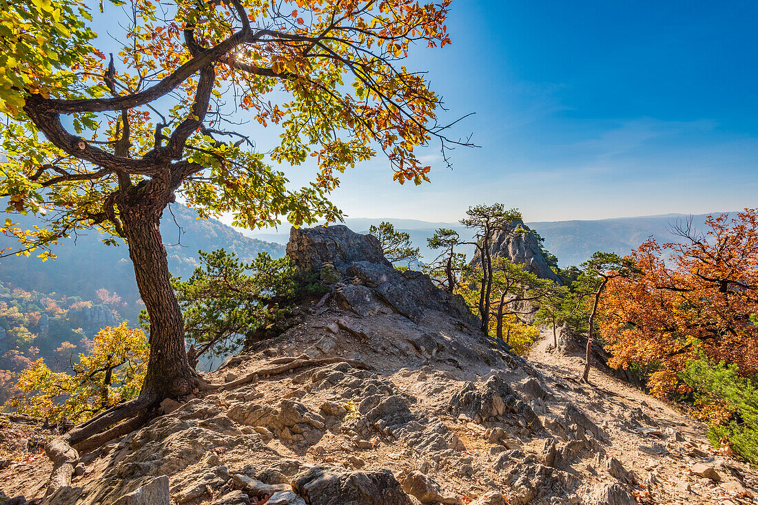 Landschaft am Vogelbergsteig bei Dürnstein in der Wachau, Niederösterreich, Österreich