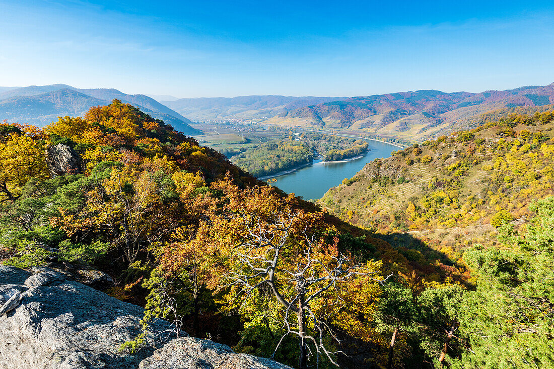 Blick auf das Donautal in der Wachau, Niederösterreich, Österreich