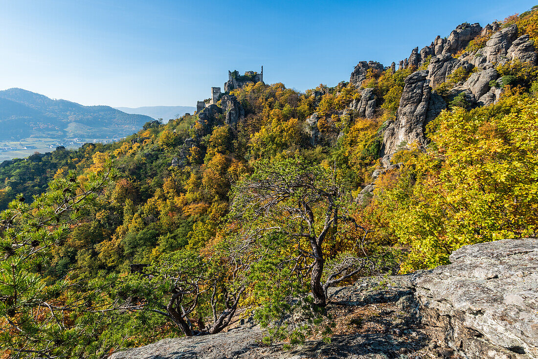 Burgruine Dürnstein und umgebende Landschaft bei Dürnstein in der Wachau, Niederösterreich, Österreich