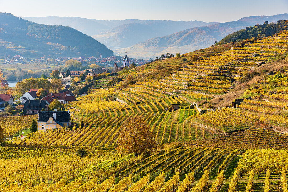 Stift Dürnstein, Donautal und Weingärten bei Dürnstein in der Wachau, Niederösterreich, Österreich