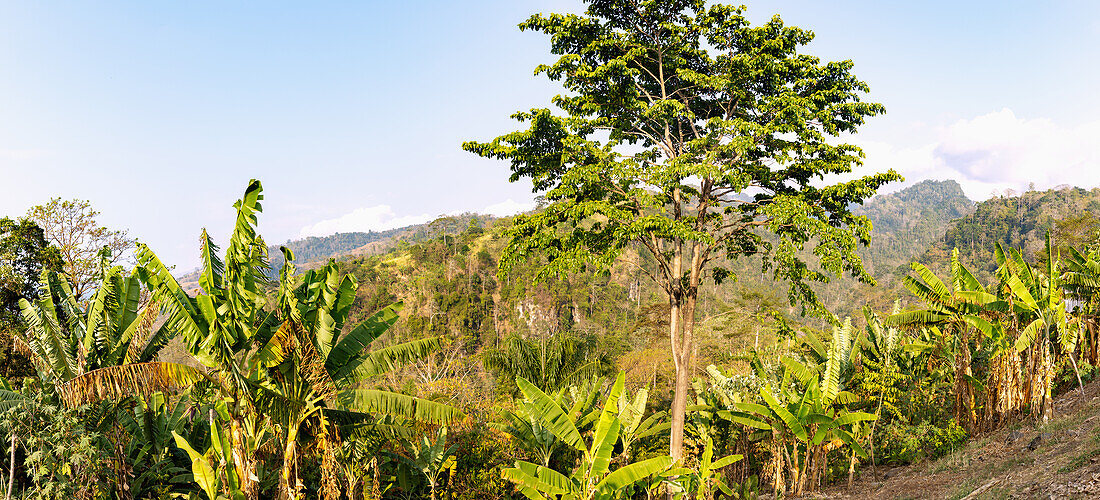Ausblick auf Berglandschaft an der Rota do Cacau nahe dem Plantagendorf Roça Generosa auf der Insel São Tomé in Westafrika