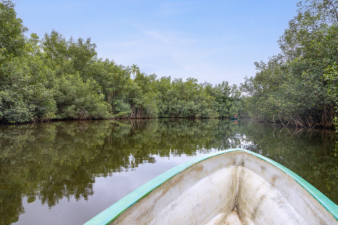 Malanza Mangrove Tour im Süden der Insel São Tomé in Westafrika