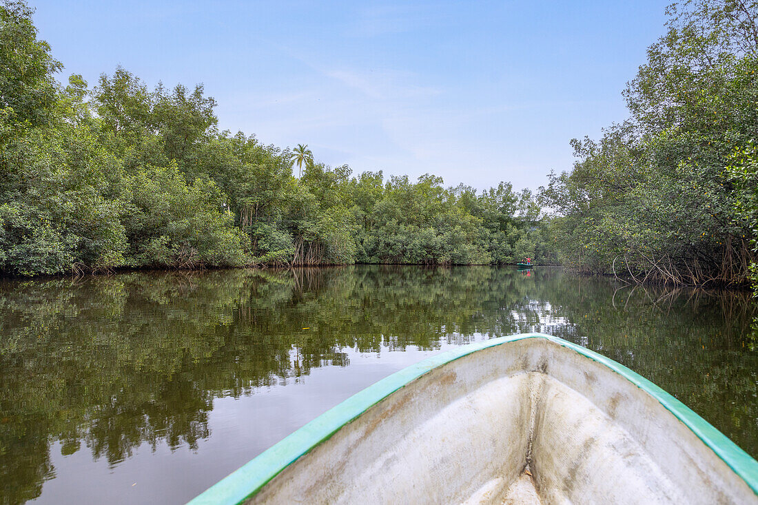 Malanza Mangrove Tour in the south of São Tomé island in West Africa