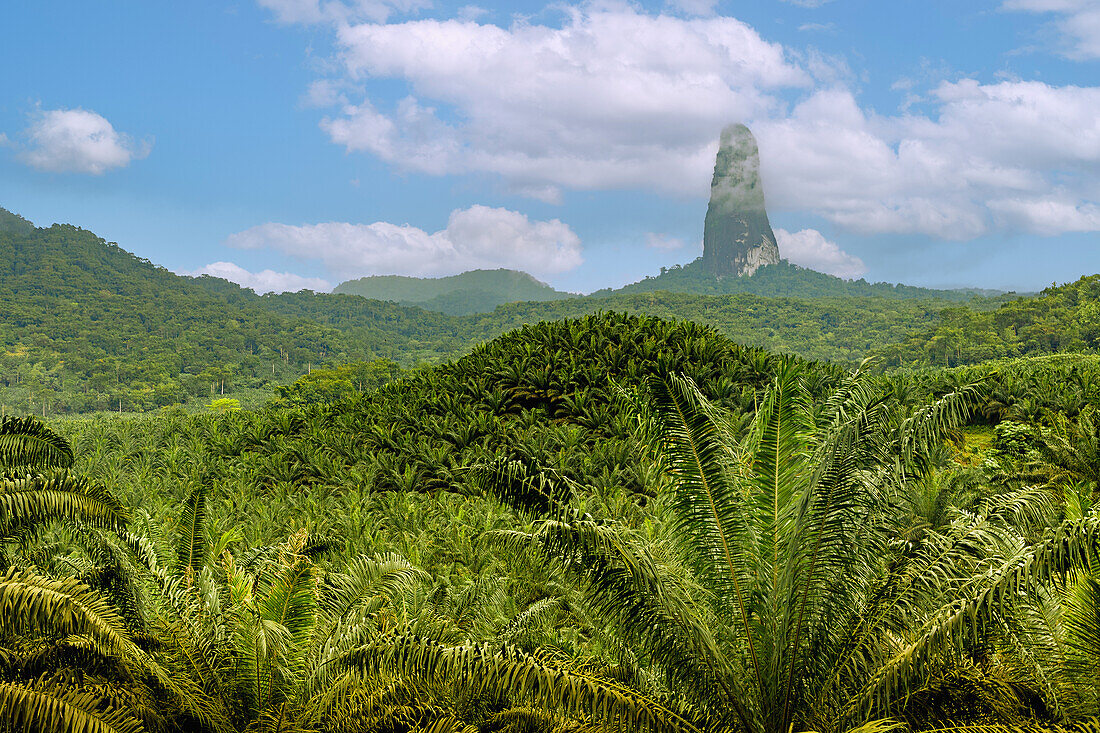 Pico Cão Grande und Palmölplantagen im Süden der Insel Sao Tomé in Westafrika
