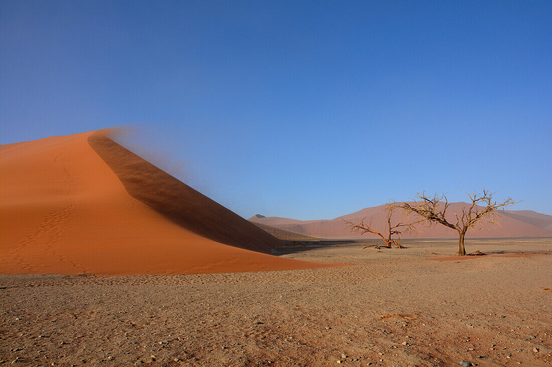 Namibia; Region Hardap; Zentralnamibia; Namib Wüste; Namib Naukluft Park; Düne 45 im Sossusvlei;