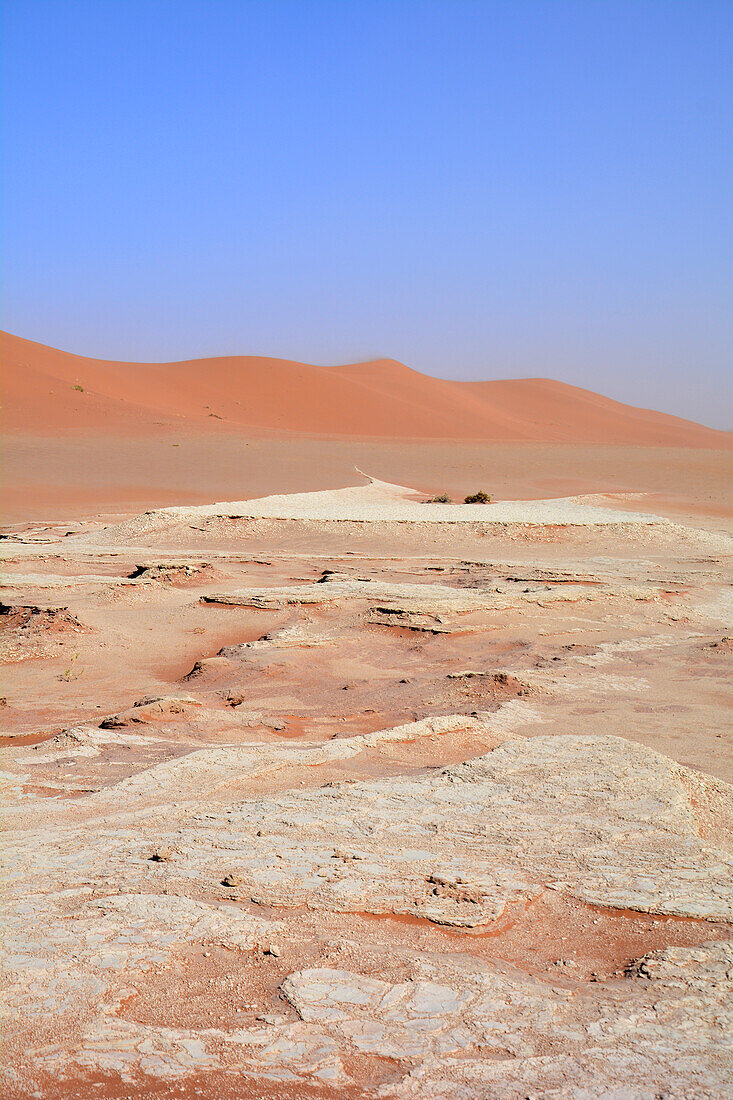 Namibia; Region Hardap; Zentralnamibia; Namib Wüste; Namib Naukluft Park; Sossusvlei; Wüstenlandschaft