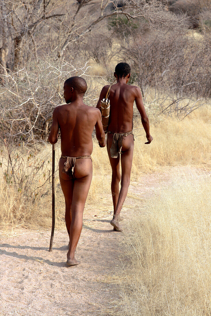Namibia; Region of Erongo; Central Namibia; San Living Museum; Bushmen of the San