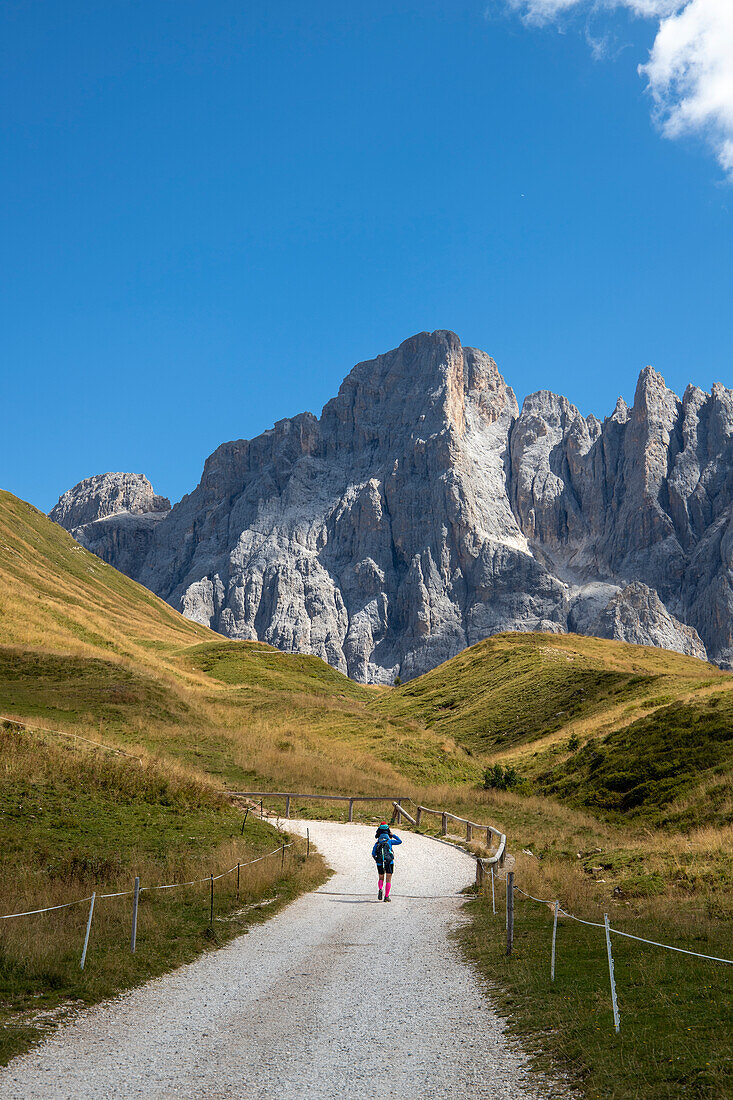 Lonely tourist on the path that leads to the Segantini hut. Passo Rolle, San Martino di Castrozza Village, Trento district, Trentino Alto Adige, Italy