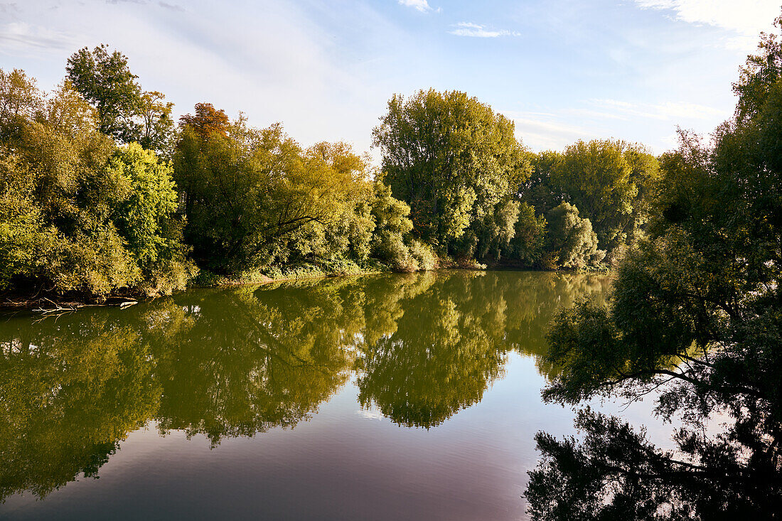 Bäume spiegeln sich in der Herbstsonne im "toten" Rheinarm, Bad Honnef, NRW, Deutschland